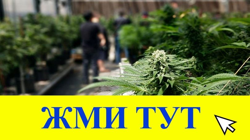 Купить наркотики в Артёме